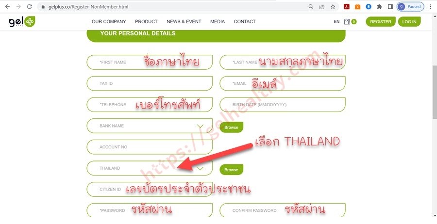 สมัครสมาชิก agel อาเจล เอเจล gelplus เจลพลัส